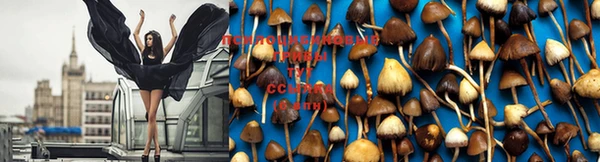 MDMA Premium VHQ Нягань