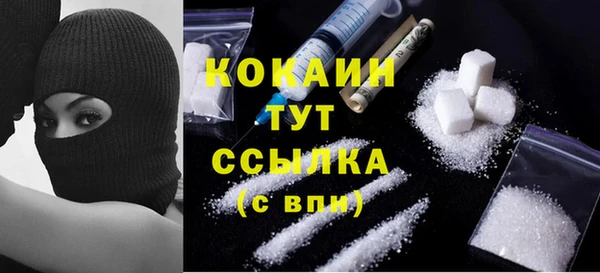 гидра Осинники