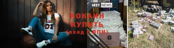 гидра Осинники