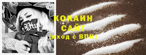 мдпв Весьегонск